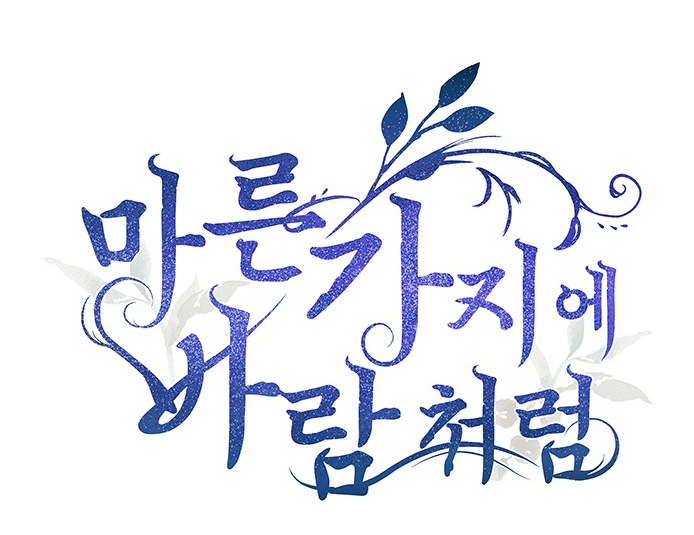 마른2.png