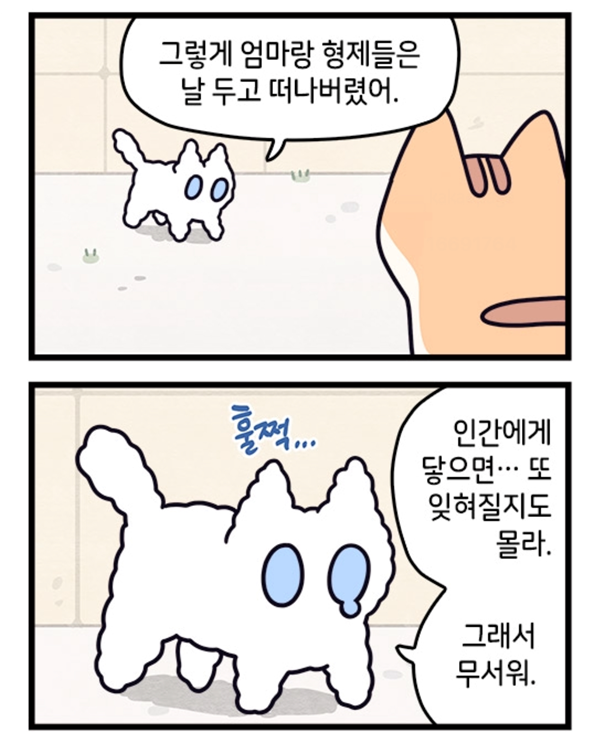 image.png image.png