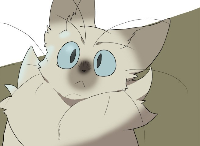 image.png image.png