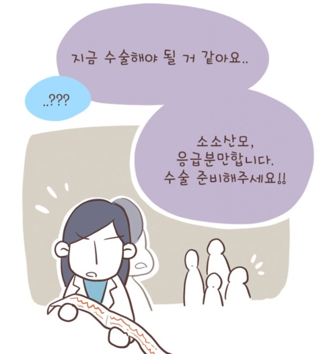 열무와알타리