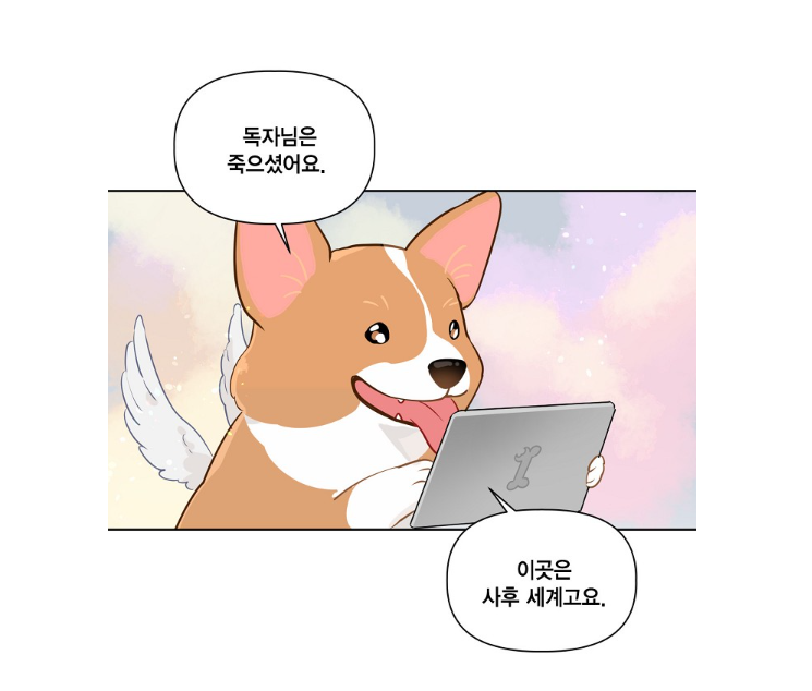 20220412_203820.png